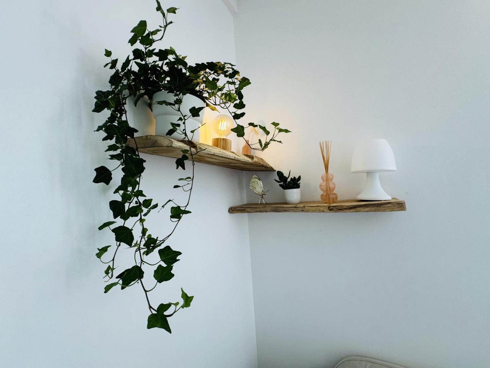 Le Piccolo - Appartement Cosy - Wifi Begles Bagian luar foto